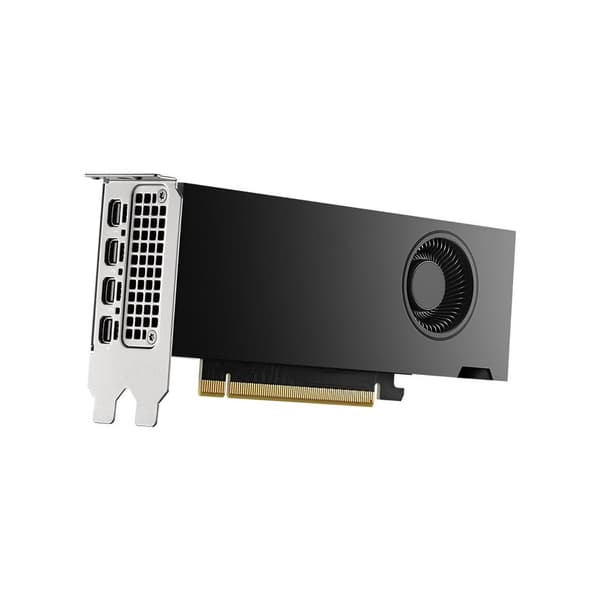 NVIDIA - grafikkort - NVIDIA RTX 2000 Ada - 16 GB
