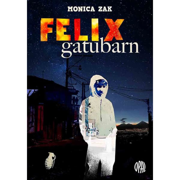 Felix gatubarn (inbunden)