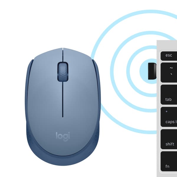 Logitech M171 datormöss Ambidextrous RF Trådlös Optisk