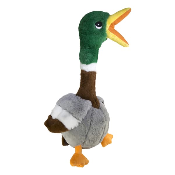 Leksak Shakers Honkers Duck Grön L