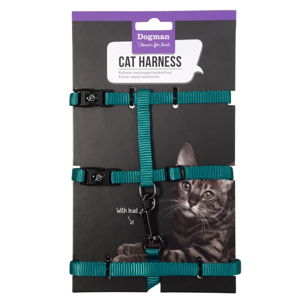 Kattsele-Set Findus Turkos