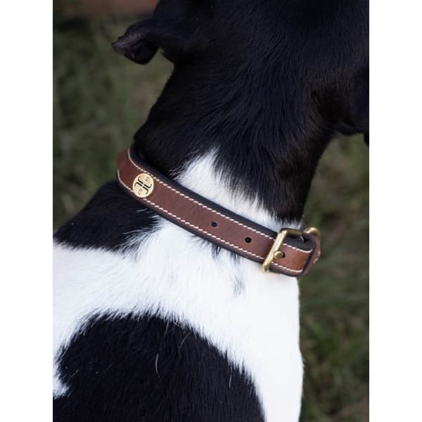 Arezzo Hundhalsband Brun 40cm