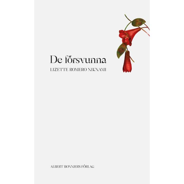 De försvunna (bok, kartonnage)
