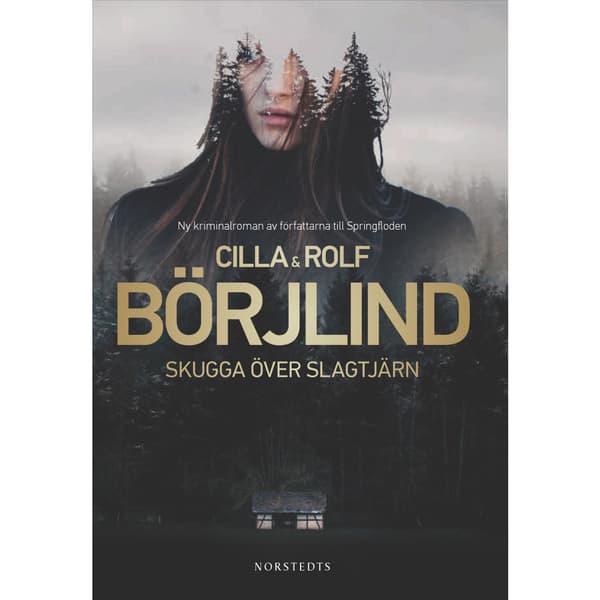 Skugga över Slagtjärn (bok, storpocket)
