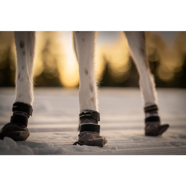 Hundskor High Endurance 4p Grå