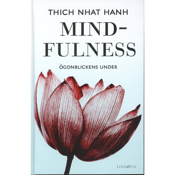 Mindfulness : ögonblickens under (bok, kartonnage)