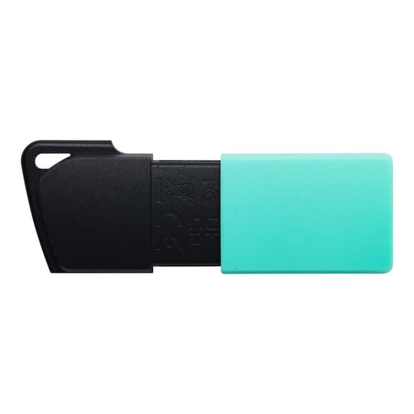 Kingston DataTraveler Exodia M - USB flash-enhet - 256 GB