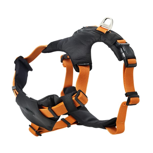 Sportsele Emmi Orange