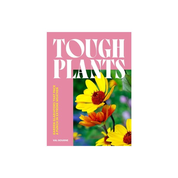 Tough Plants (inbunden, eng)