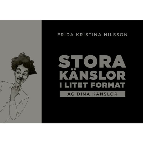 Stora känslor i litet format : äg dina känslor (svart) (häftad)