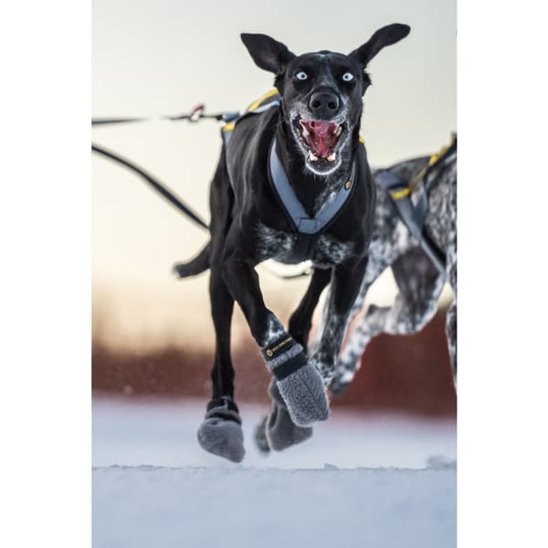 Hundskor High Fleece 4p Grå Mini+