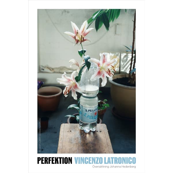 Perfektion (inbunden)