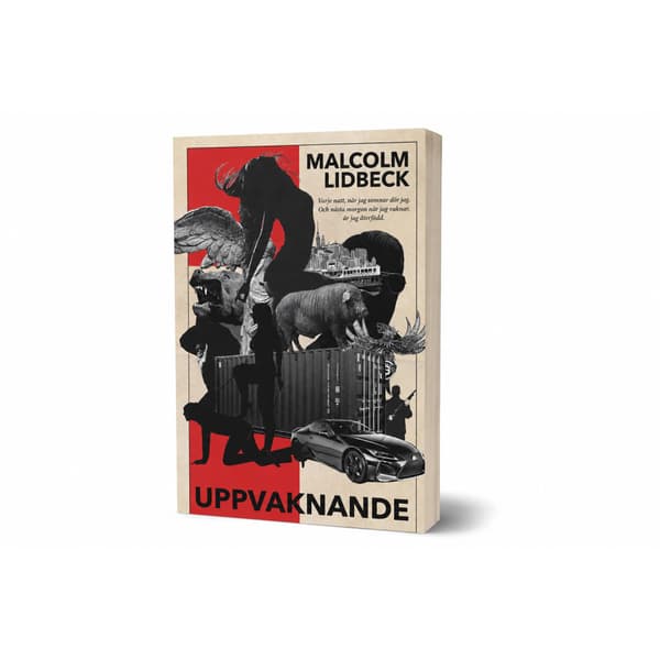 Uppvaknande (häftad)