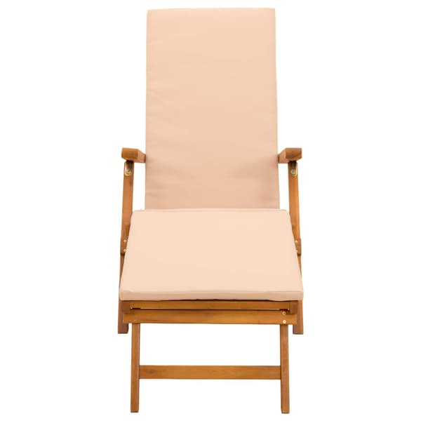 Reclining och Fällbar Solstol 55 x 146 x 91 cm