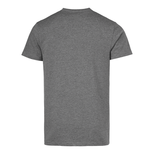 Frisco T-shirt Medium greymelange Male
