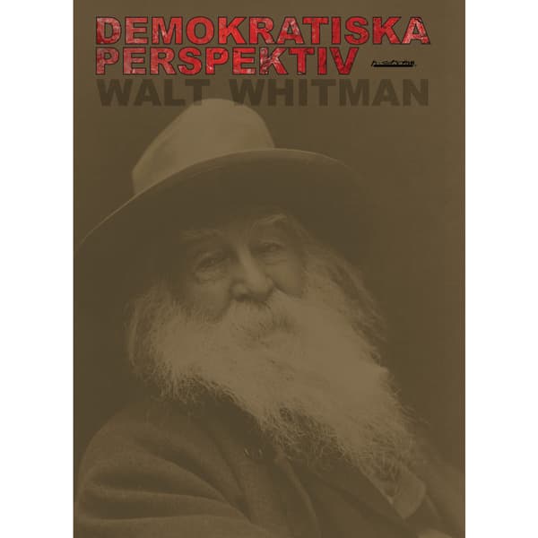 Demokratiska perspektiv (häftad)