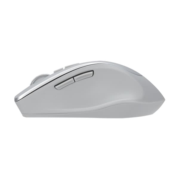 ASUS WT425 - mus - 2.4 GHz - matt silver
