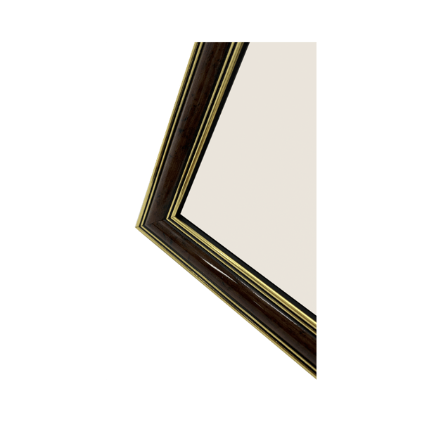 Focus Holly Light Root 20x30