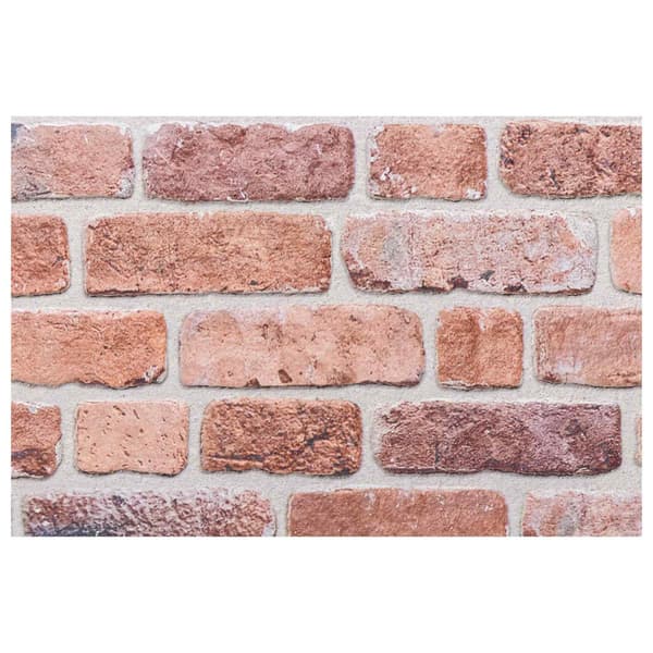 Väggpaneler 10 pcs Röd 100 x 50 cm EPS Skum