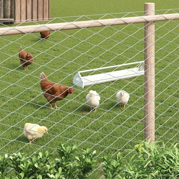 Kedjelänk Stängsel Galvaniserad 2 x 10 m Glas