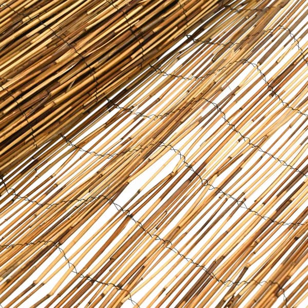 Trädgårdsstängsel Karbomiserad 600 x 90 cm Vass