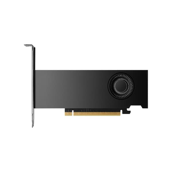 NVIDIA - grafikkort - NVIDIA RTX 2000 Ada - 16 GB