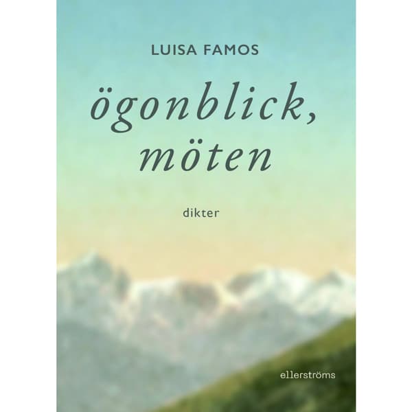 Ögonblick, möten (bok, danskt band)