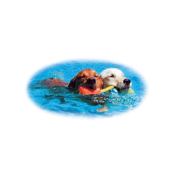 Leksak Aqua med Rep Flytande Orange M