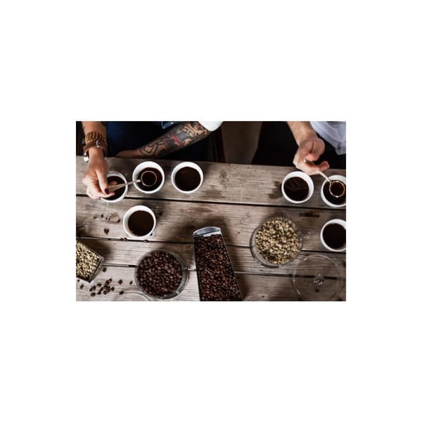 Kaffe ZOÉGAS Intenzo 450g