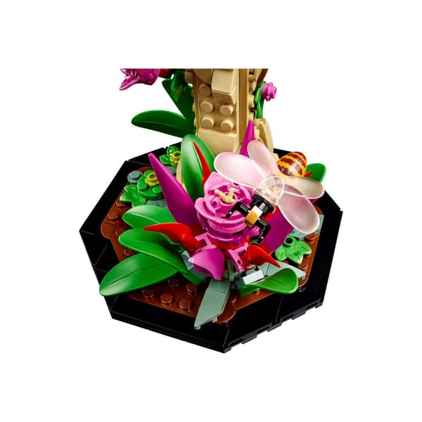 LEGO Ideas 21342 - Insektskollektionen - byggsats
