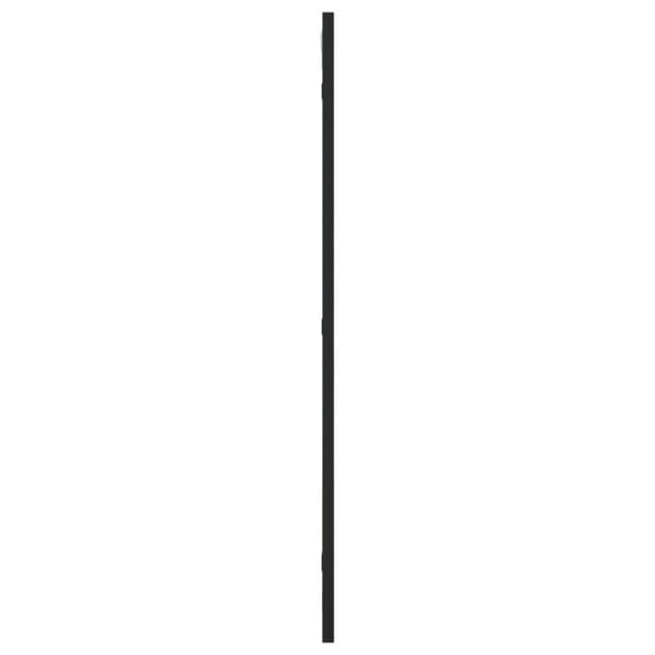 Väggspegel svart 40x80 cm rektangulär järn