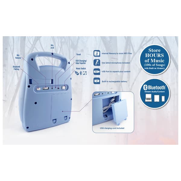 Frost Bluetooth Sing Along Boombox