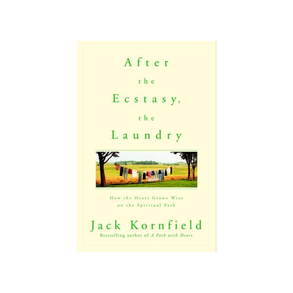 After the Ecstasy, the Laundry (pocket, eng)