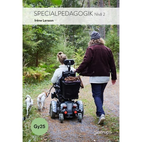 Specialpedagogik 2, bok, Gy25 (häftad)