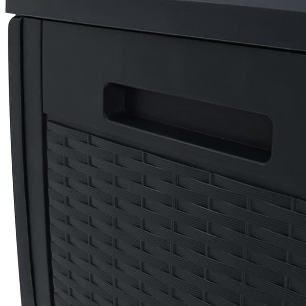 Dynbox antracit 119x48x60 cm polypropen