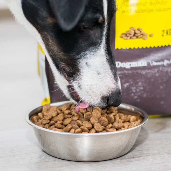 Small Breed spannmålsfritt hundfoder 2kg