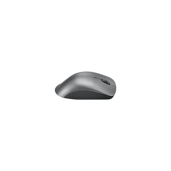 Lenovo Professional - mus - Bluetooth 5.1 - åskmolnsgrå