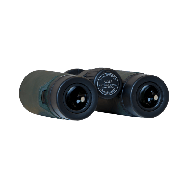 Focus Observer 10x42 HD
