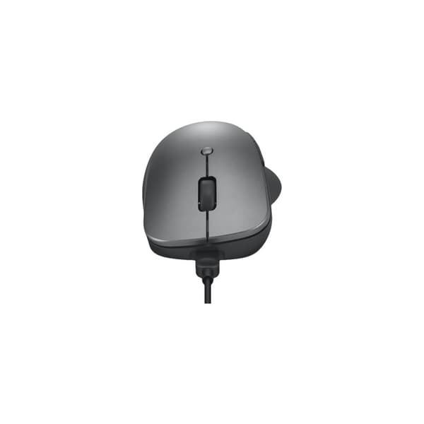 Lenovo Professional - mus - Bluetooth 5.1 - åskmolnsgrå