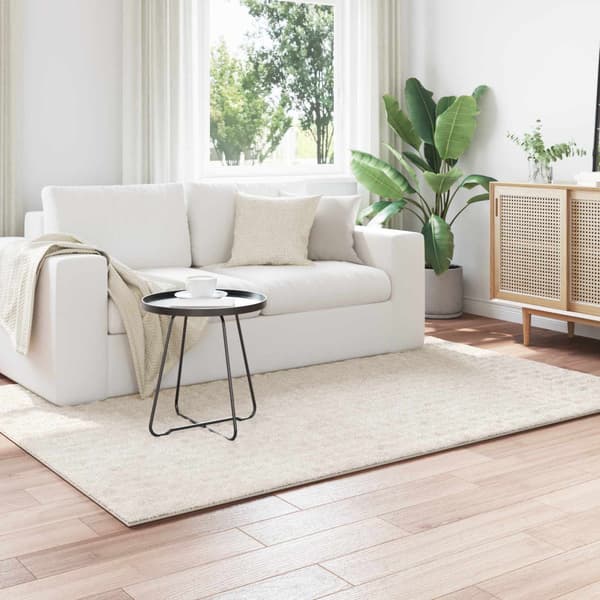 Områdesmattor Rektangulär SIROLO Kräm 170 x 120 cm Polyester