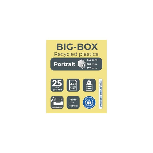 Blankettbox EXACOMPTA BIGBOX 4 låd paste