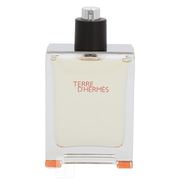 Hermes Terre D'Hermes Edt Spray 100 ml Herr
