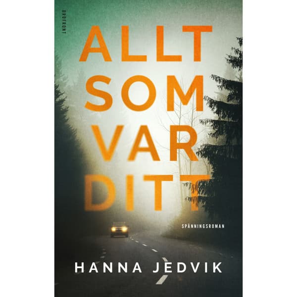 Allt som var ditt (inbunden)