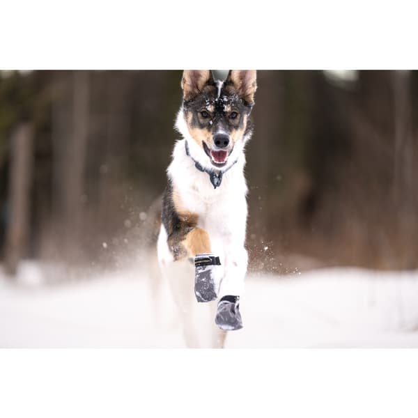 Hundskor Endurance 4p Grå XS