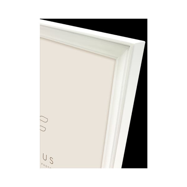 Focus Calla White 24x30