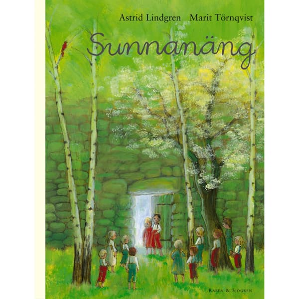 Sunnanäng (bok, kartonnage)