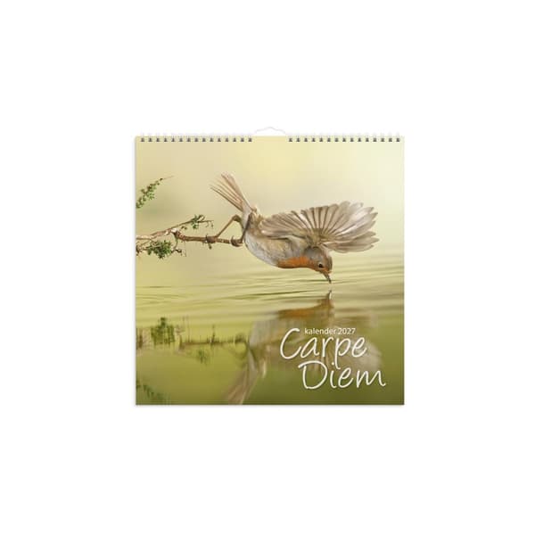 Väggkalender Carpe Diem 2027