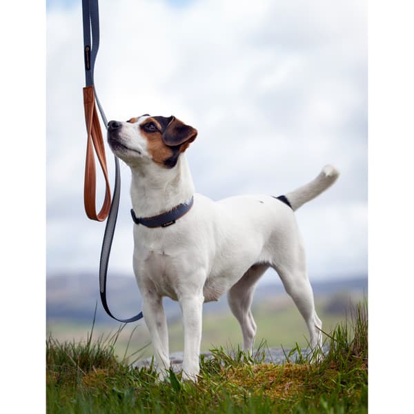 Secure Hundhalsband Grå XXS
