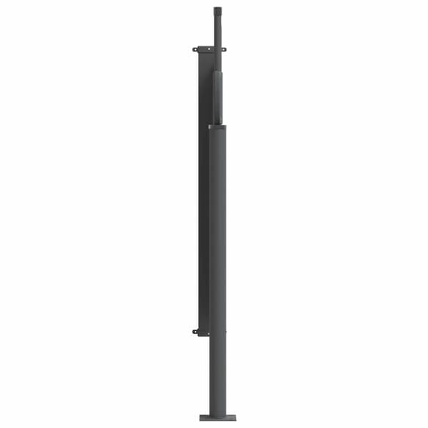 Utfällbar sidomarkis Svart 300 x 100 cm Polyester