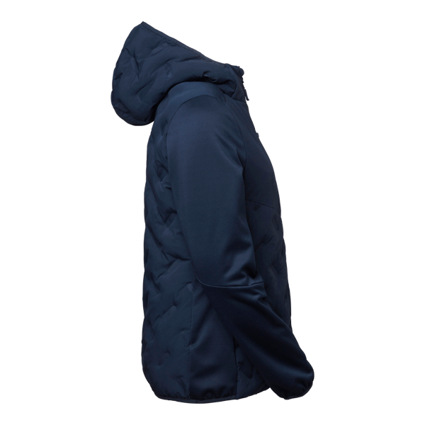 Scott Hybrid jacket w Navy Female